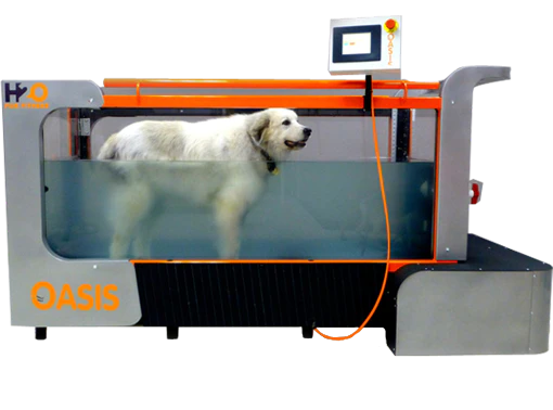 Oasis - Underwater Treadmills for Dogs 