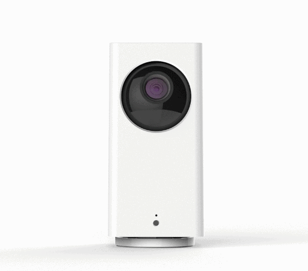 WyzeCam Image