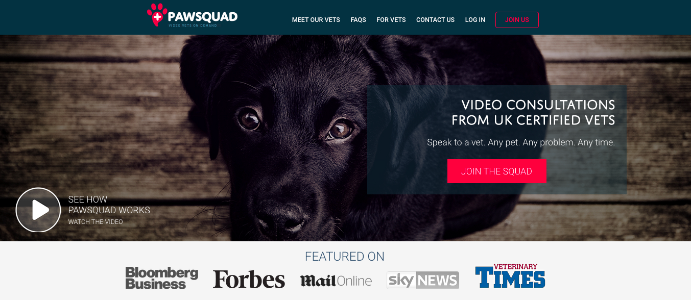 PawSquad gallery image