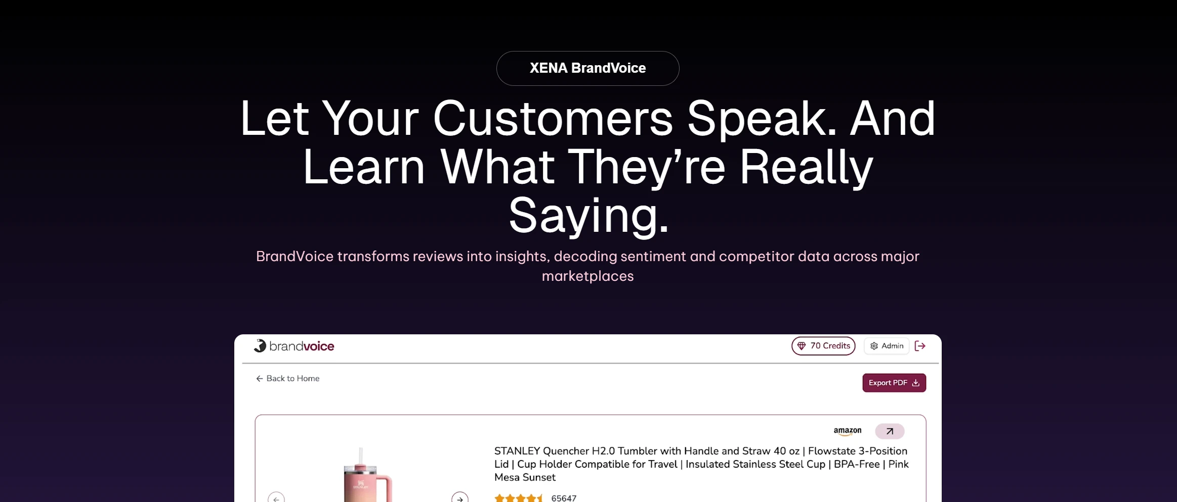 Xena Intelligence screenshot 2