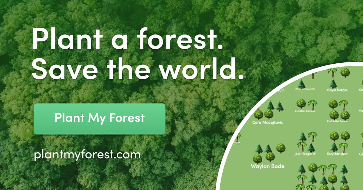 Plant My Forest gallery image