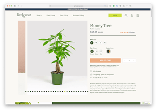 Lively Root gallery image