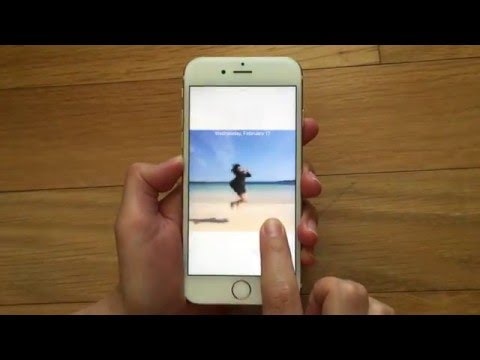 intoLive gallery image