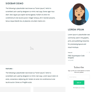 Squarespace Plugins gallery image