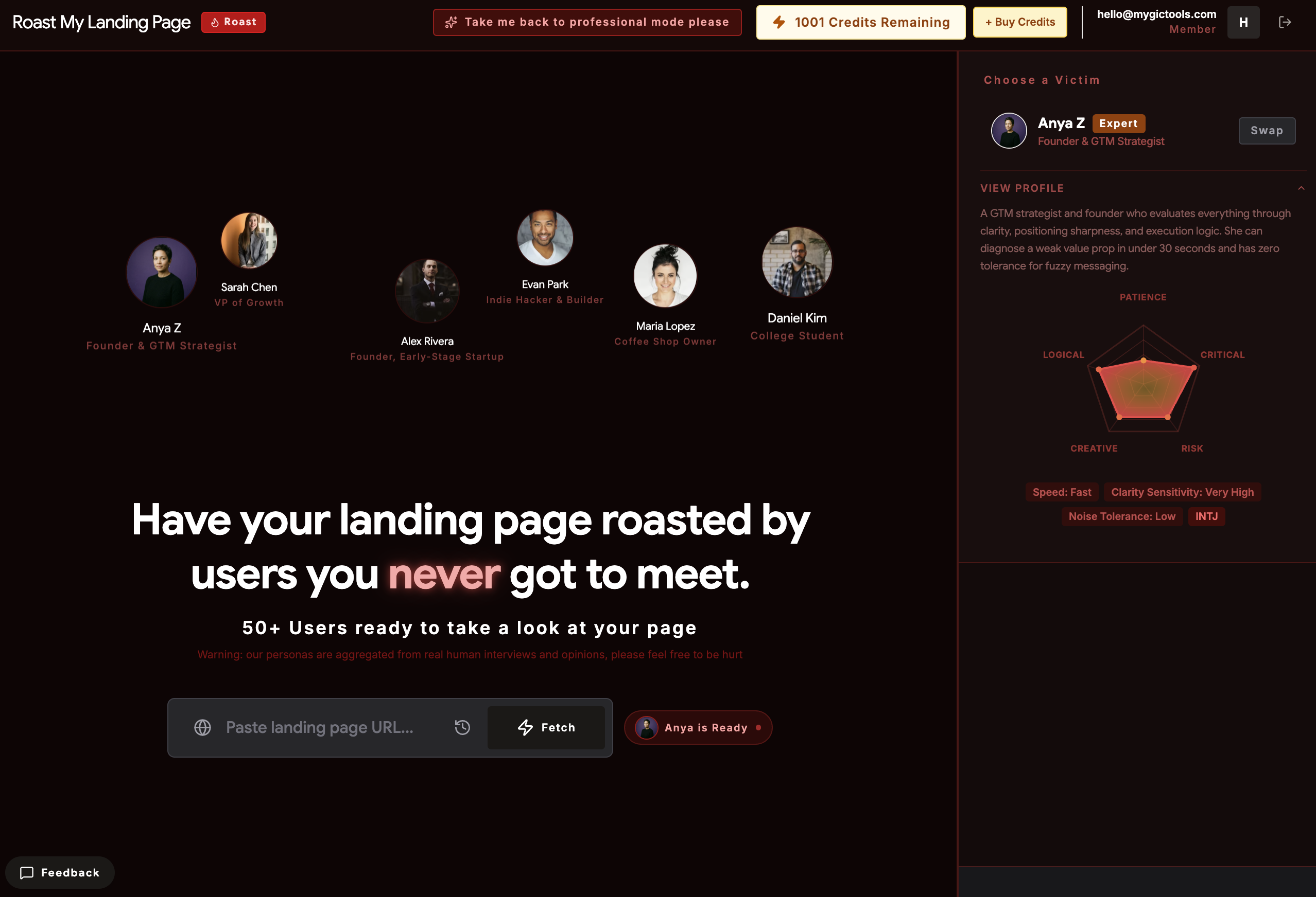 Roast My Landing Page AI gallery image