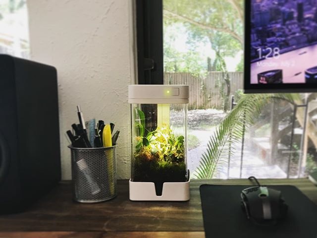OrchidBox Smart Mini Terrarium 🌱 gallery image