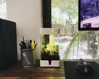 OrchidBox Smart Mini Terrarium 🌱 media 2