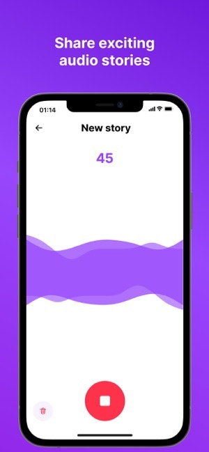 AnyVoice gallery image