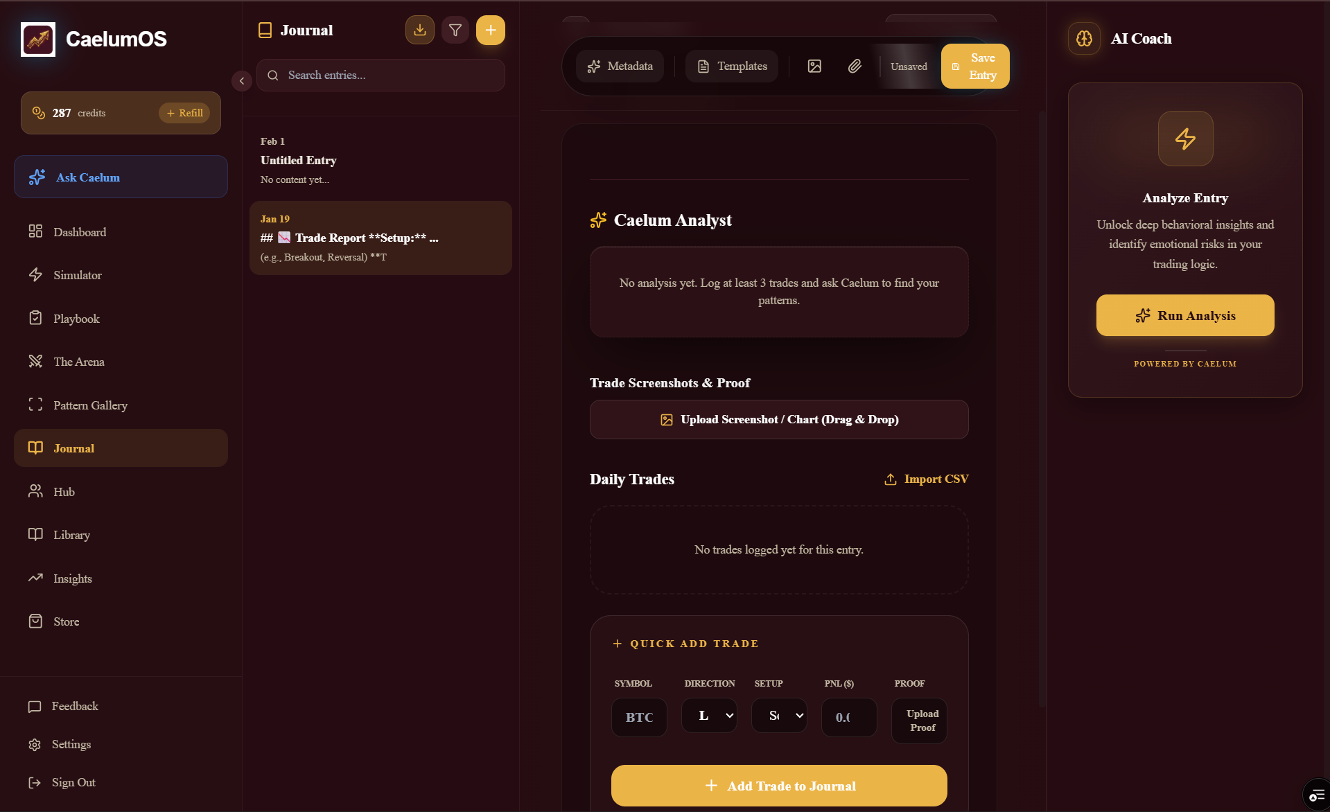 CaelumOS gallery image