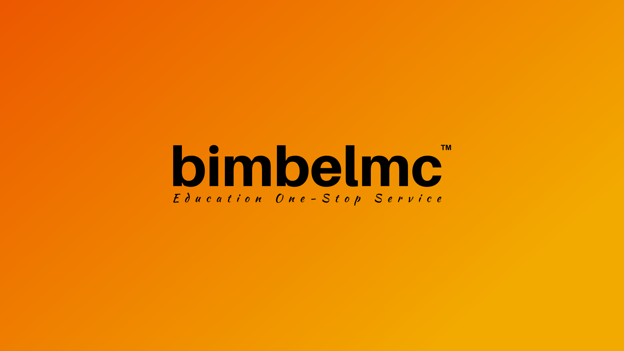 Bimbelmc media 1
