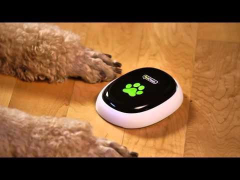 PetChatz HD With PawCall