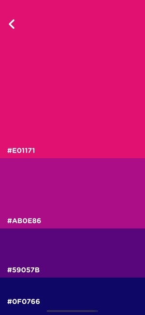 col.or gallery image