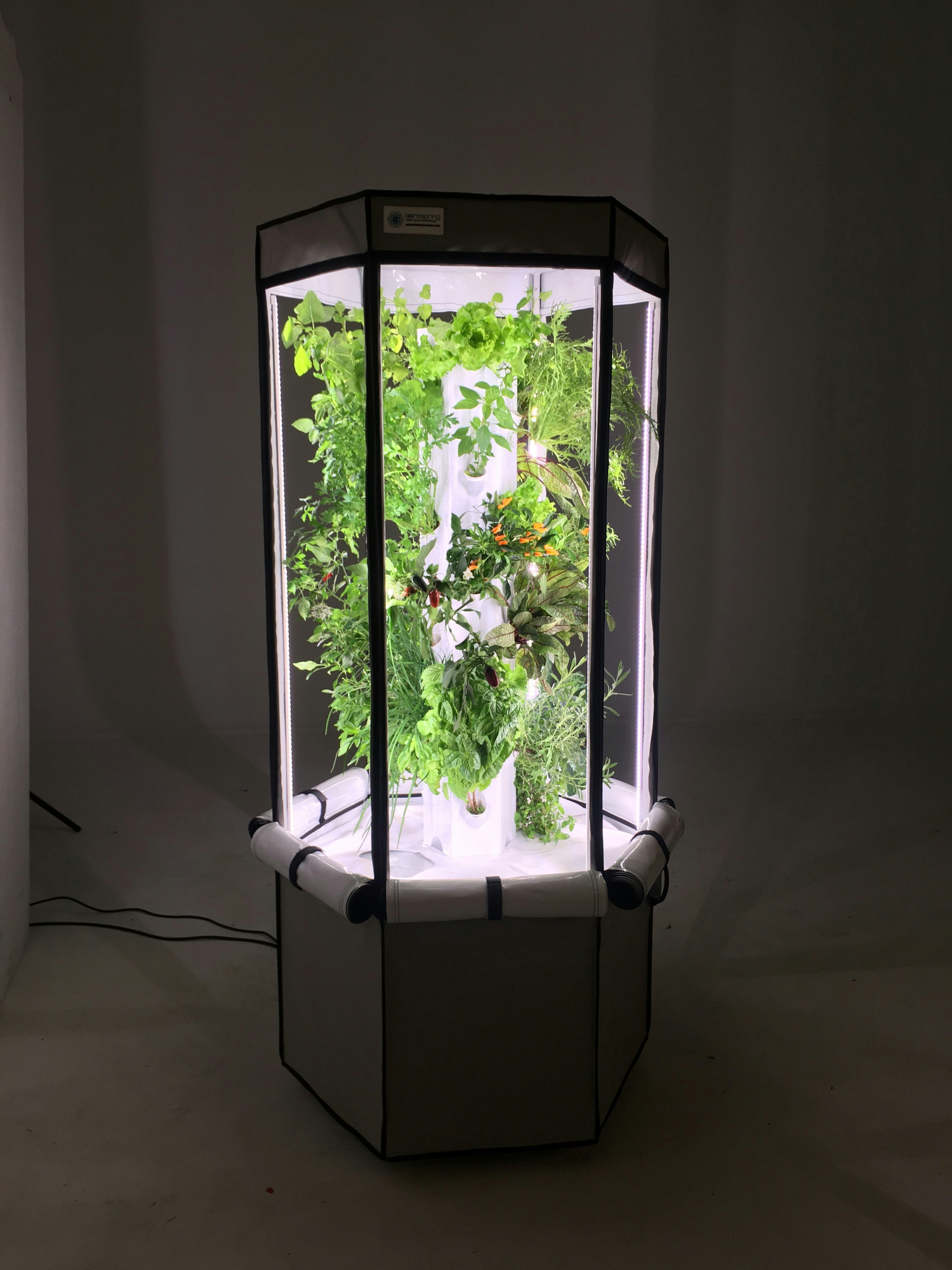 Aerospring Indoor Garden gallery image