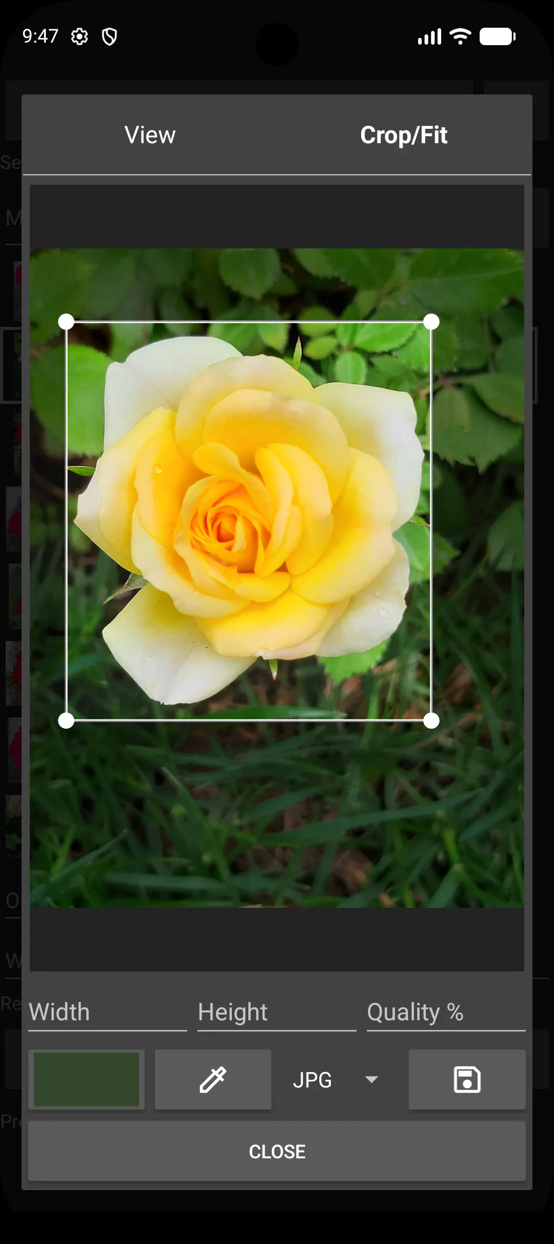 Offline Batch Photo Resizer for Android gallery image