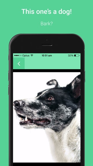 Ruffle gallery image