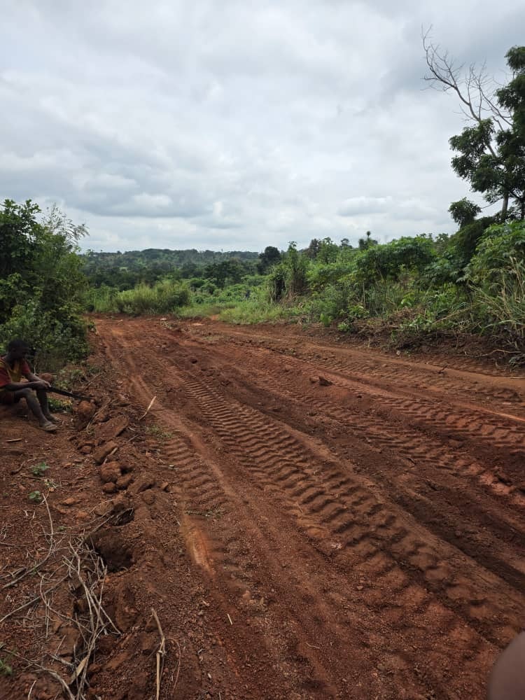 Palm Crest by Reftop Homes Limited  - Screenshot 3 showing product features and functionality