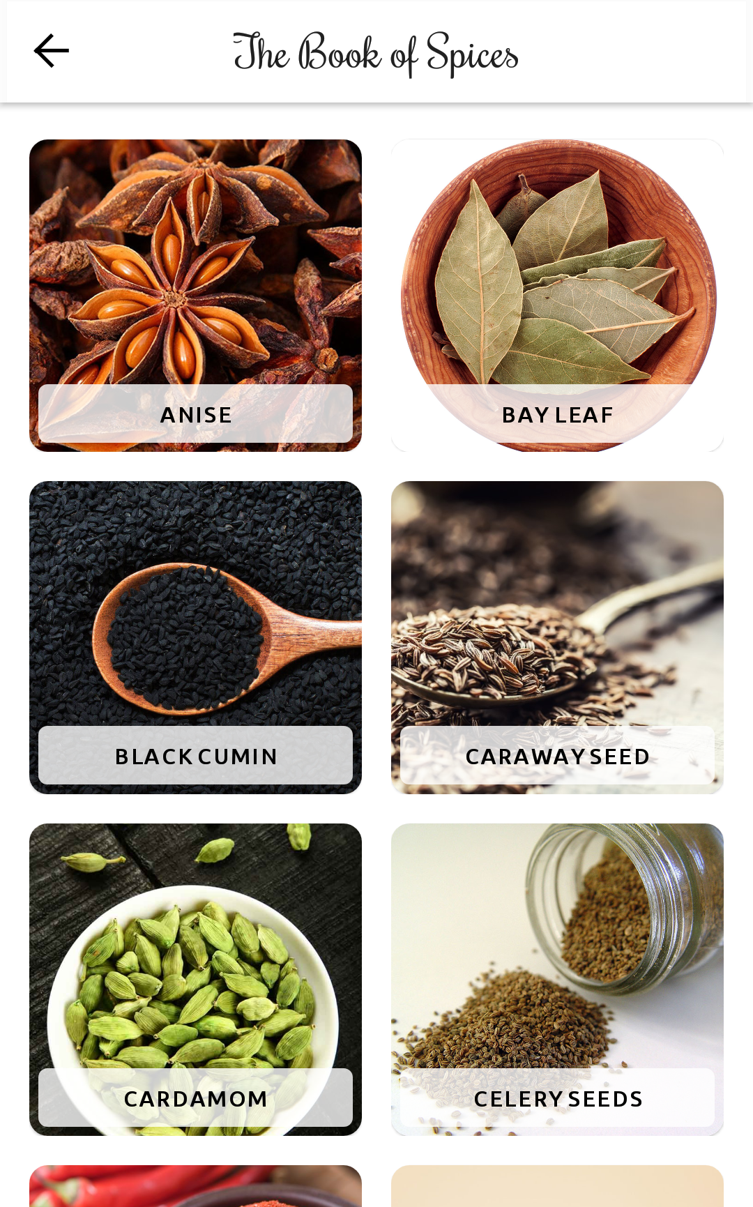 Book of Spices gallery image