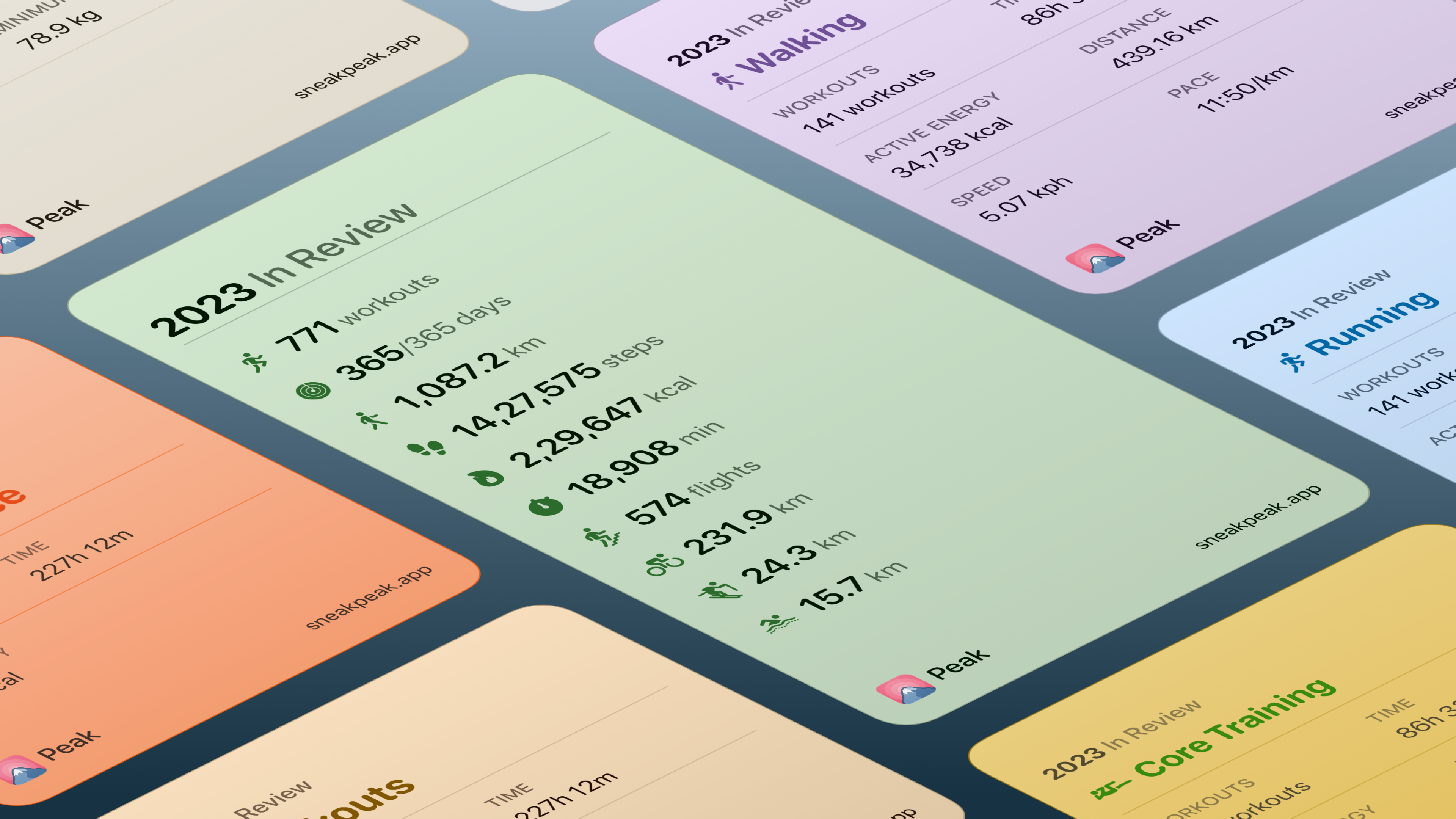 Piek - Uw persoonlijke fitnessdashboard media 1
