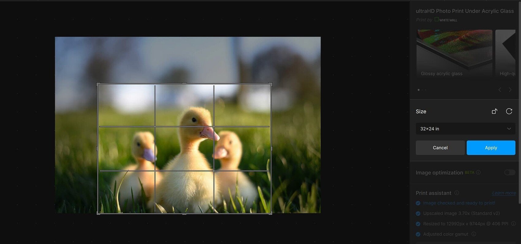 Gigapixel v8.3.0 - Het snelste diffusiemodel voor High-Res Image Restoration media 5