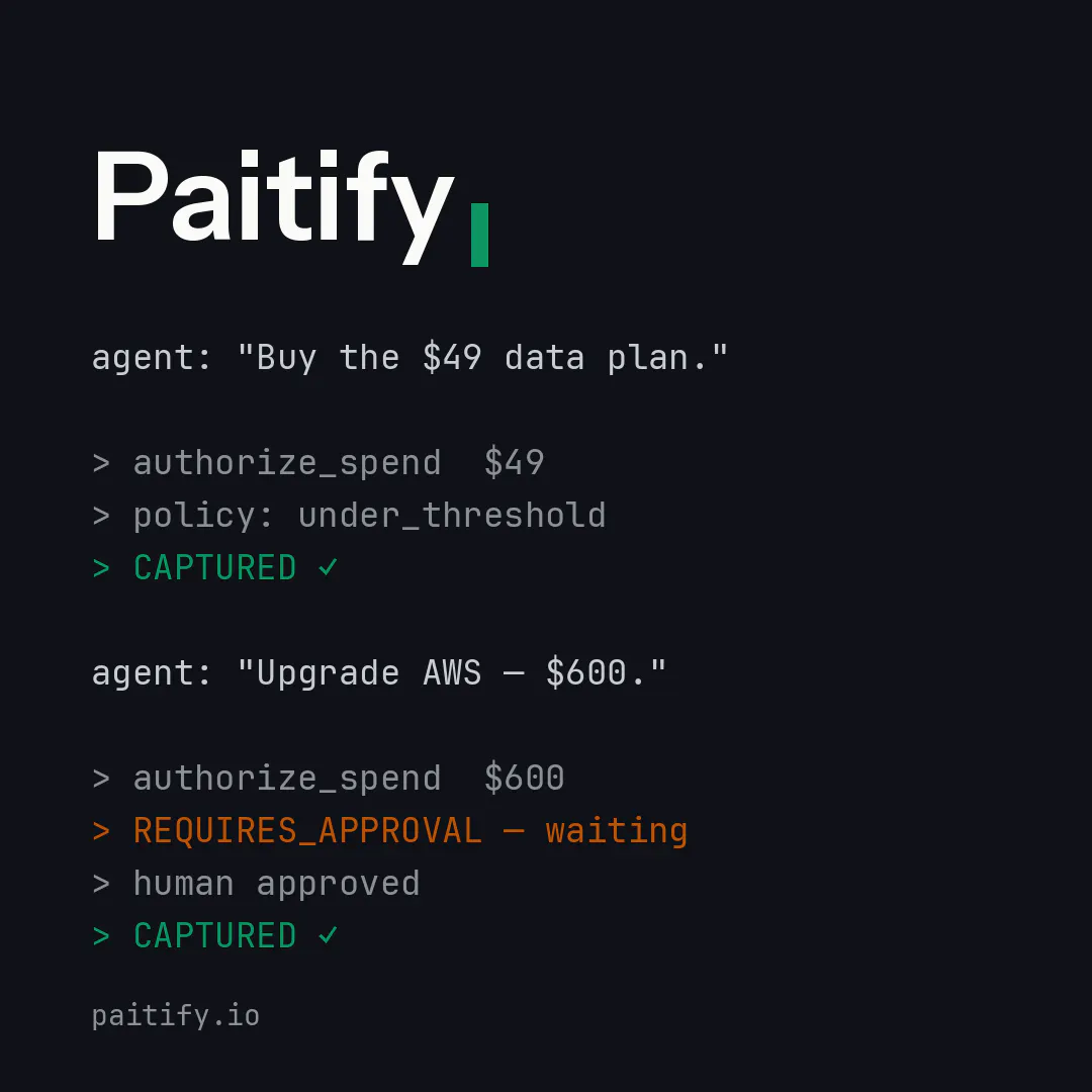 Paitify gallery image