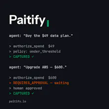 Paitify gallery image