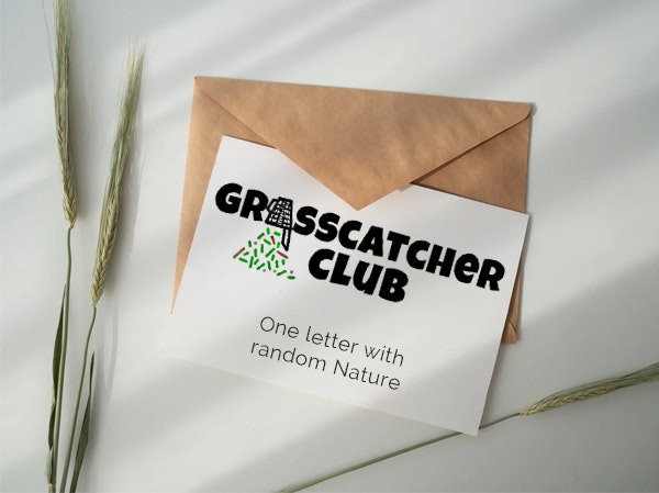 GrassCatcher gallery image