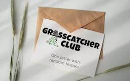GrassCatcher media 2