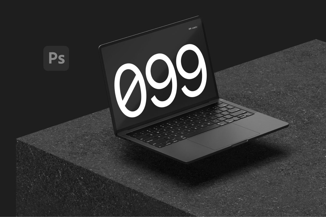 099 공급 - 최소 제품 모형 미디어 2