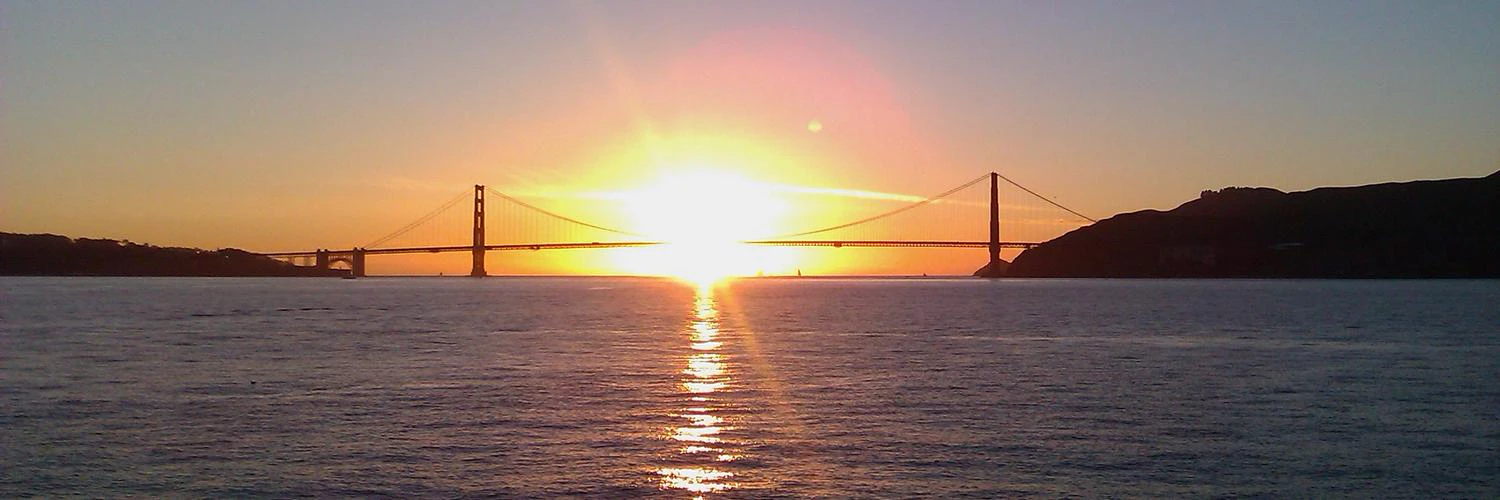 Anita Schjøll Brede cover