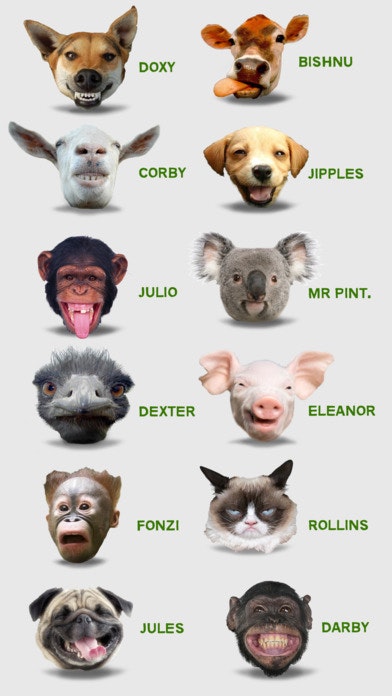 Animal Pack Stickers gallery image