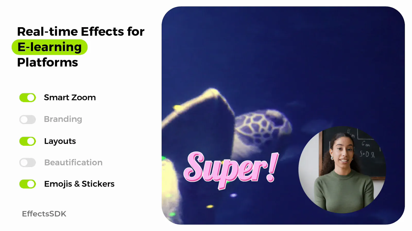 Effects SDK screenshot 6