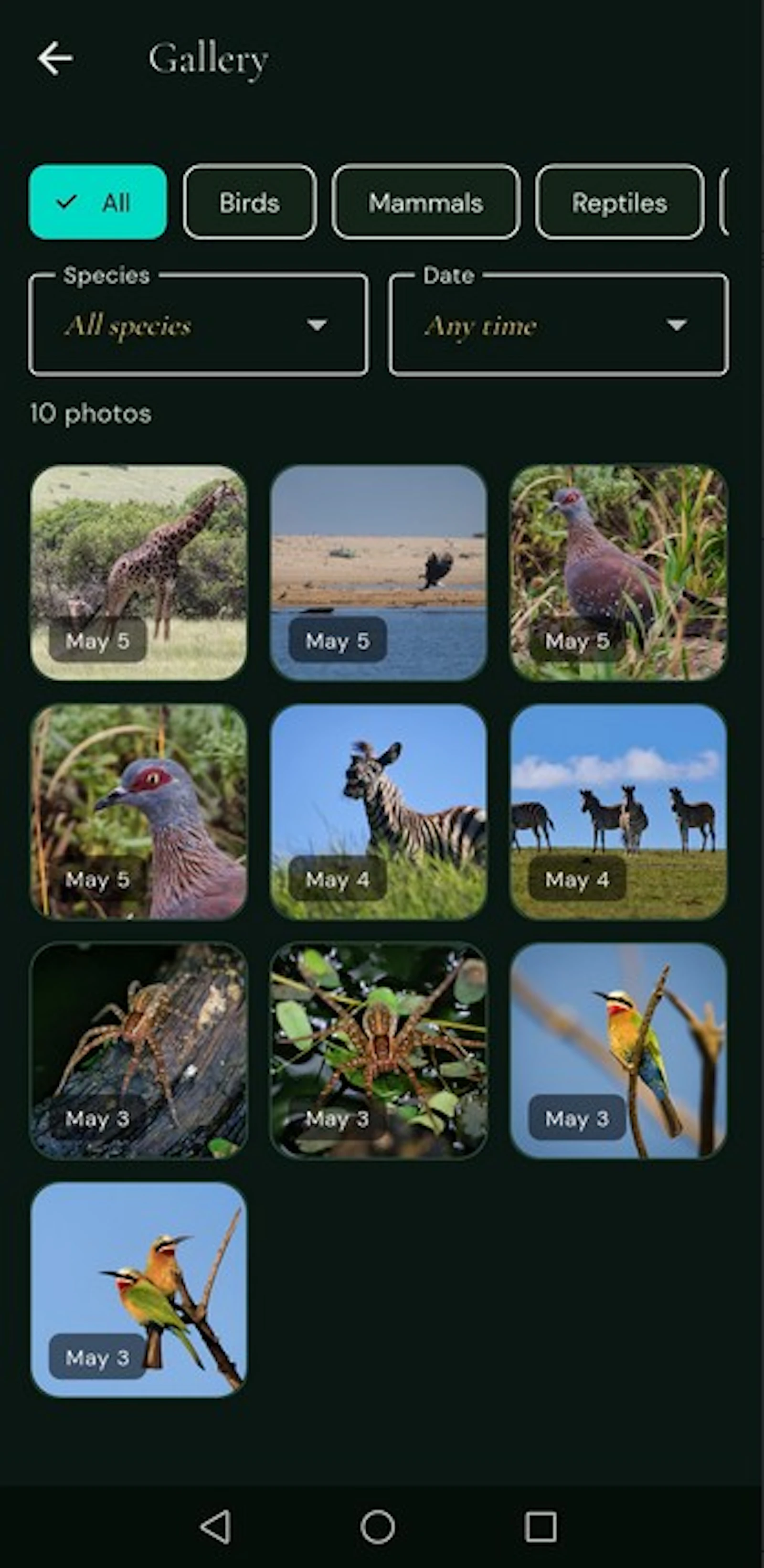 Wildlog: Bird & Wildlife Log screenshot 4