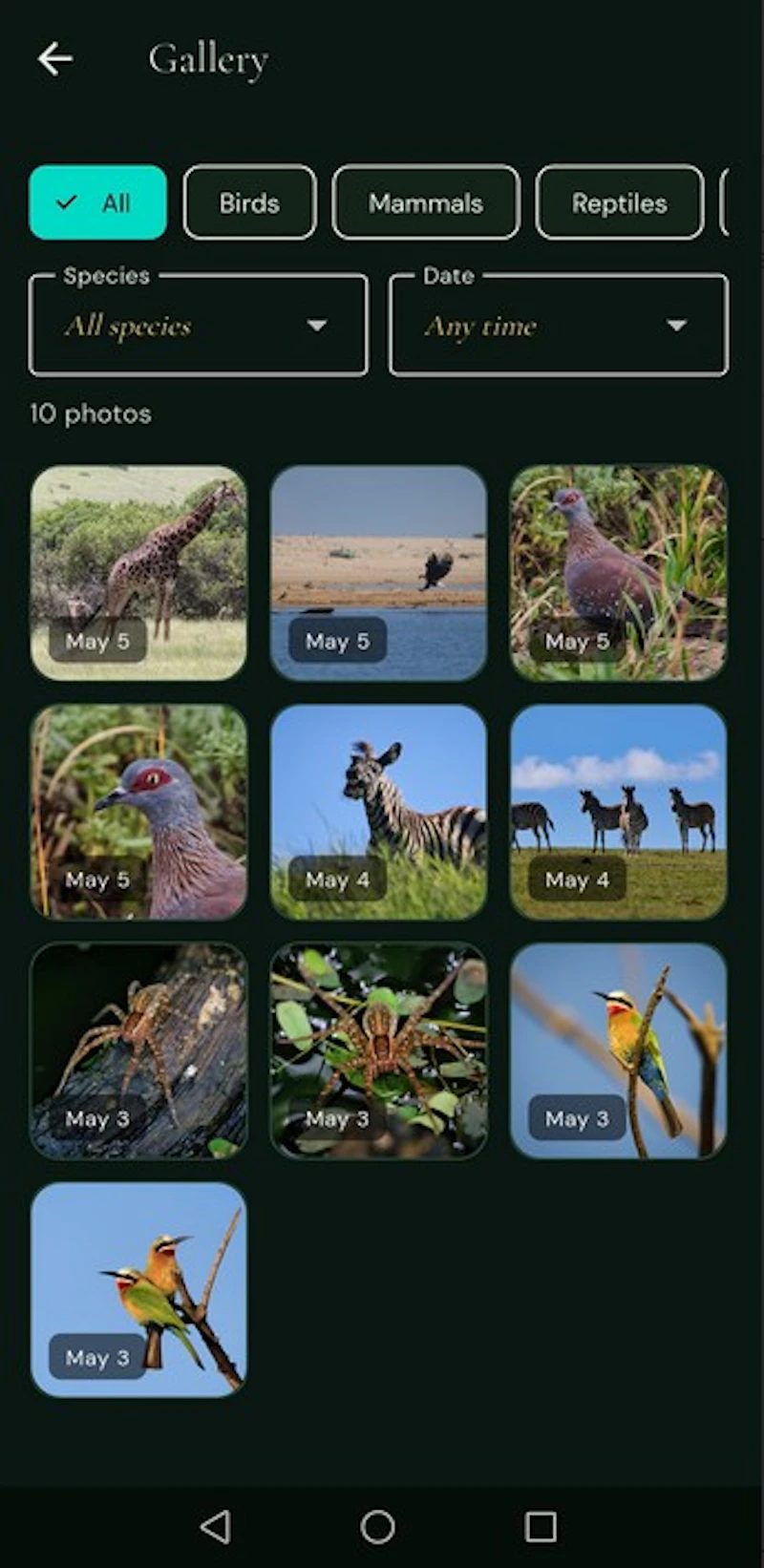Wildlog: Bird & Wildlife Log screenshot 4