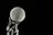 The Law of Startups Podcast