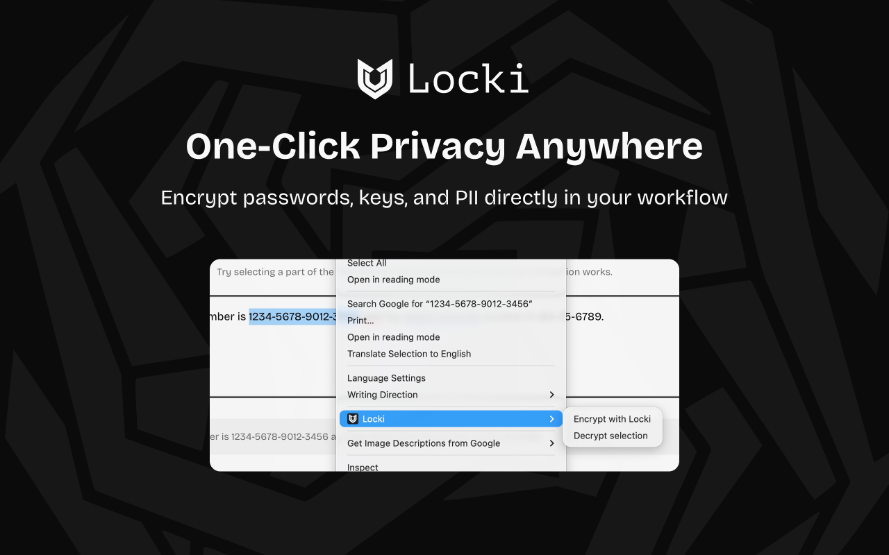 Locki Security gallery image