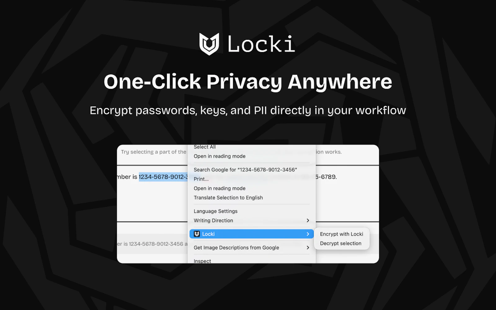 Locki Security screenshot 4