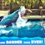 Hungry Shark World