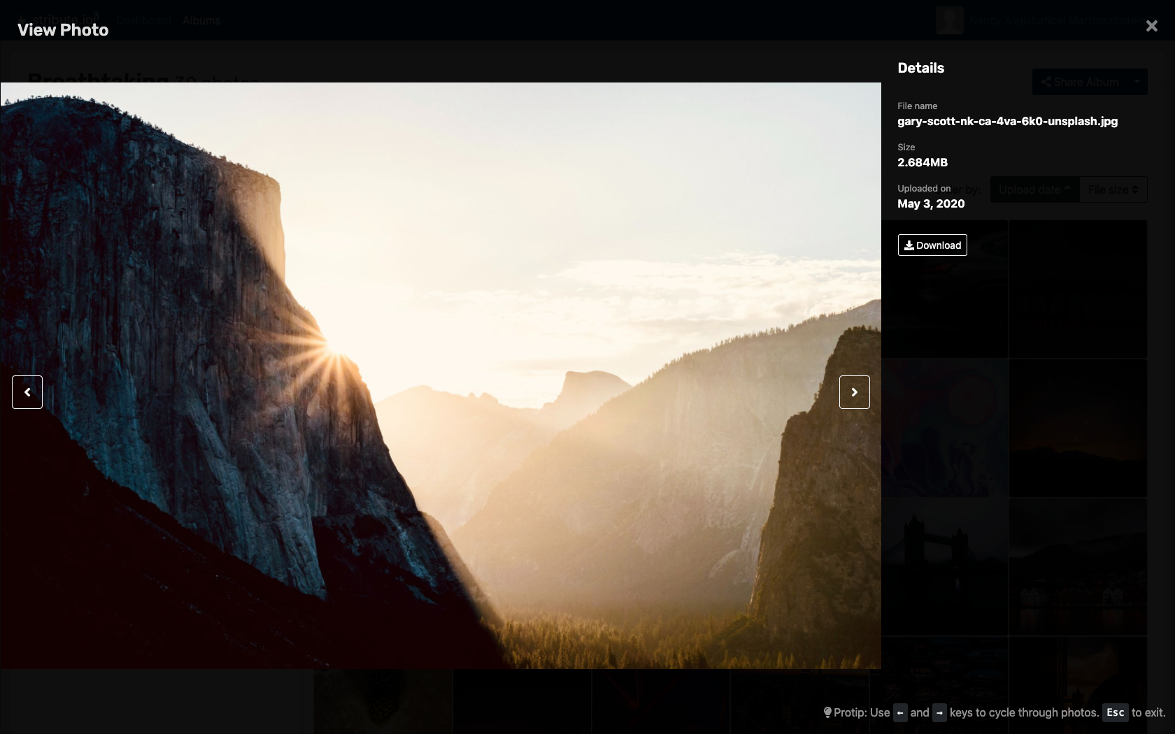 Stribute.io gallery image