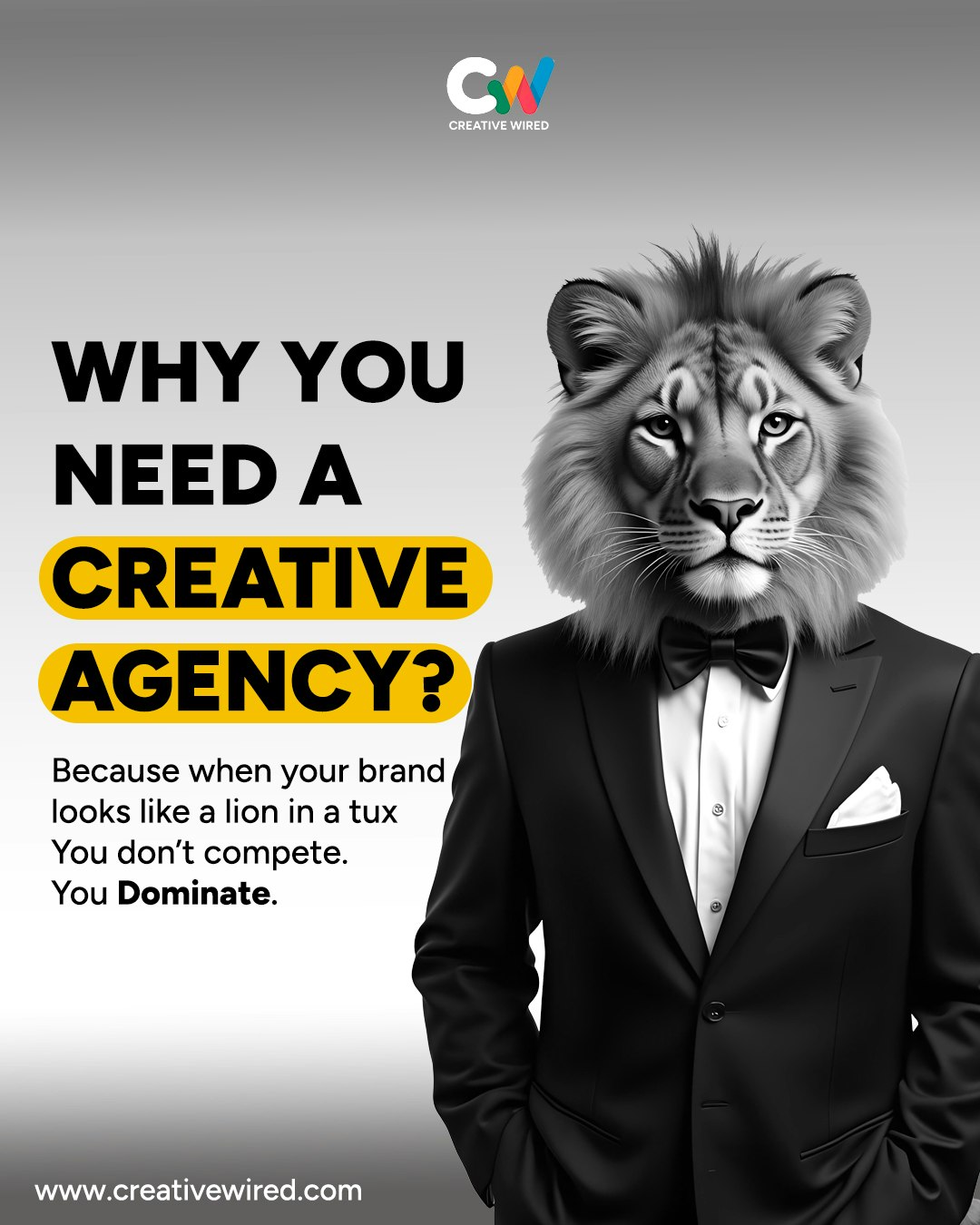 Creative Wired media 2