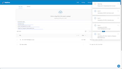 TeleDrive gallery image