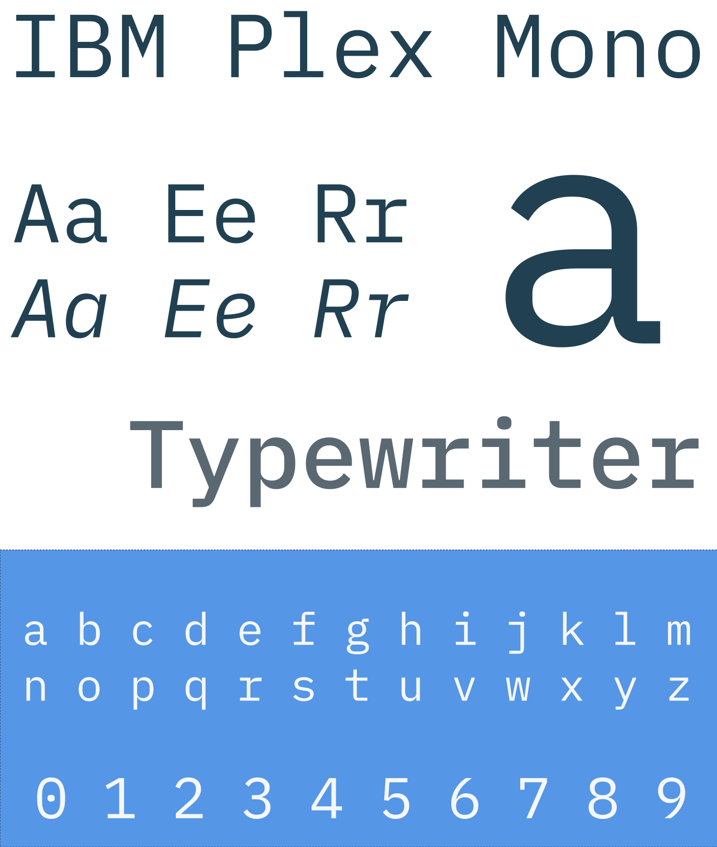 IBM Plex gallery image