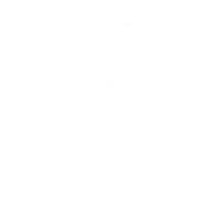IP Raccoon: Instant IP Lookups