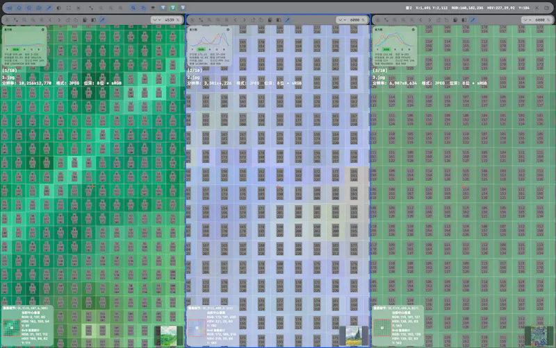 Domino Image Viewer screenshot 5