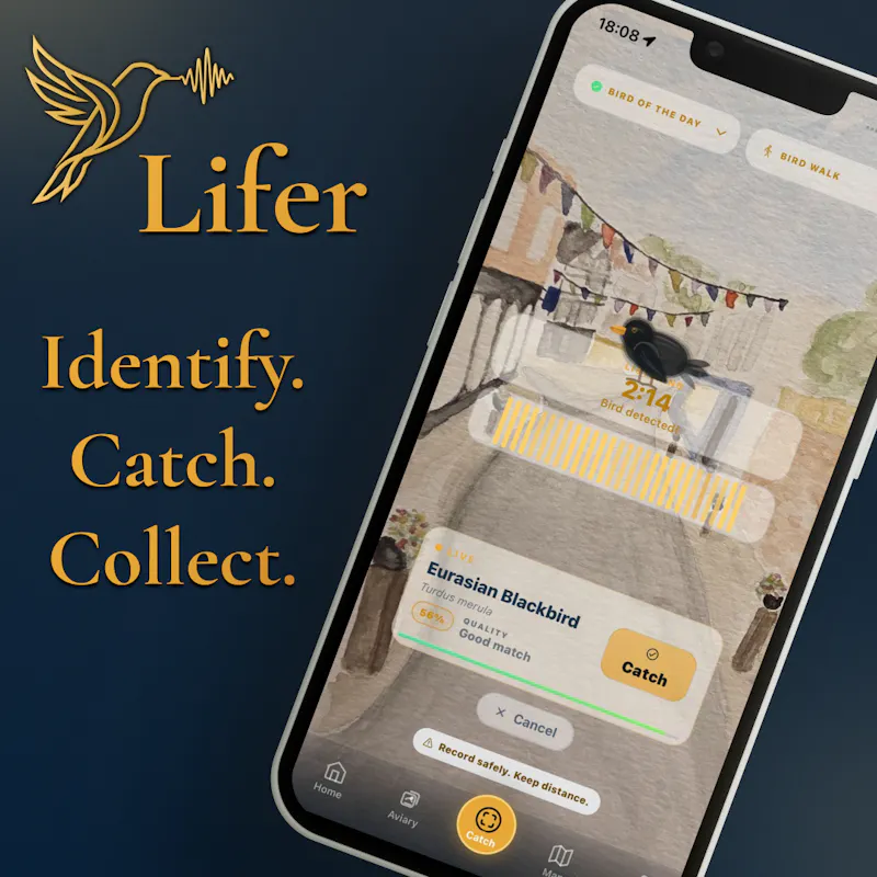 Lifer screenshot 2