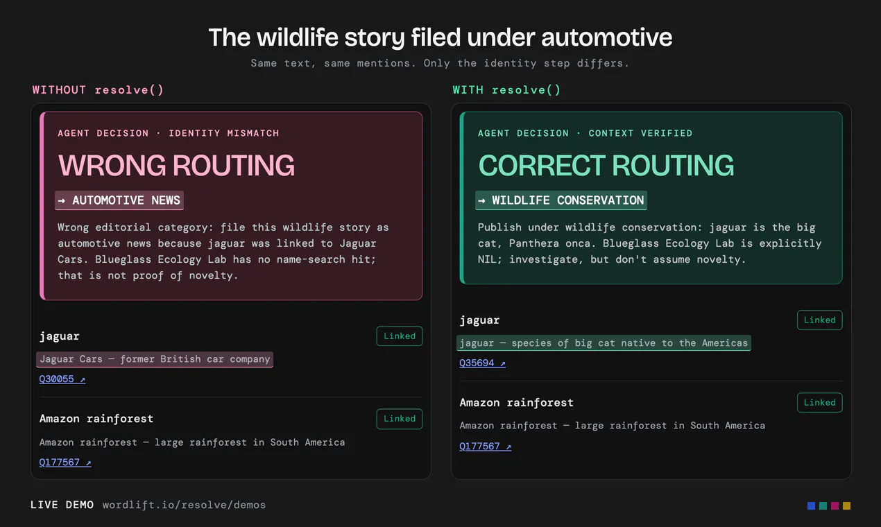 resolve() gallery image