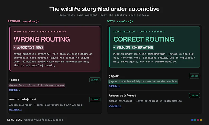 resolve() screenshot 3