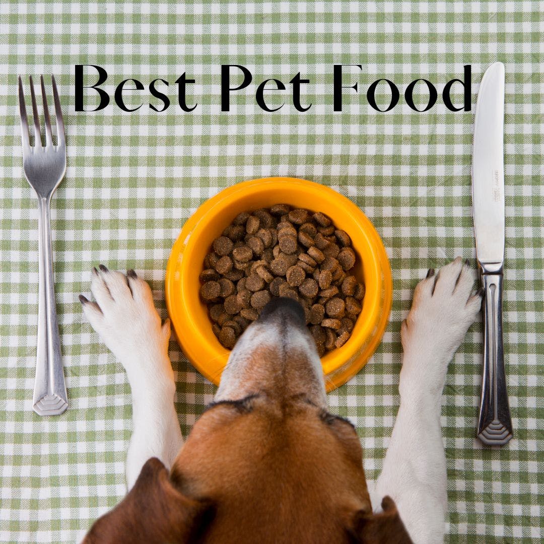 What is the Best Pet Food for a Pet? media 1