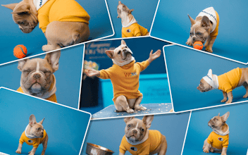 Reverse Image Search Tools gallery image