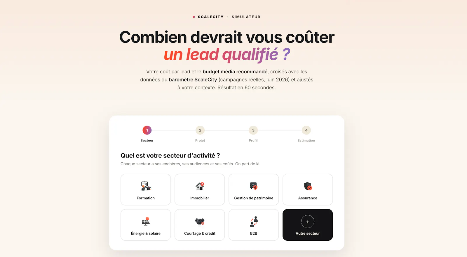 Simulateur de coût par lead screenshot 1