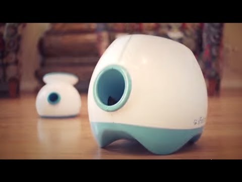 iFetch gallery image